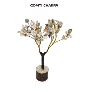 Buy Gomati chakra Trees