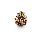 3 Mukhi Rudraksha Beads (2)