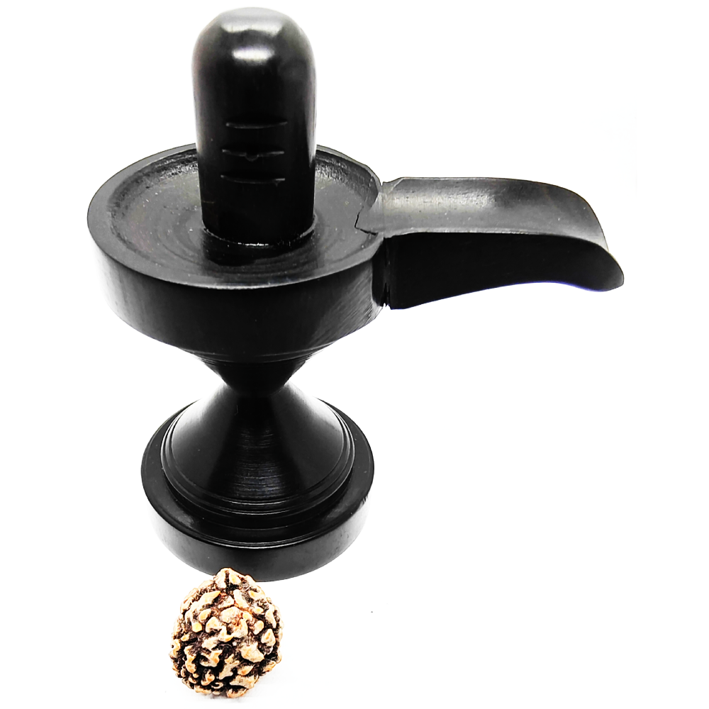 3 Mukhi Rudraksha Beads (4)