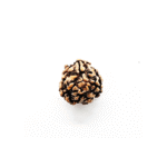 3 Mukhi Rudraksha Beads (5)
