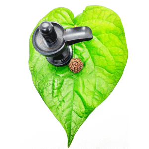 4 Mukhi Rudraksha beads with certificate (1)