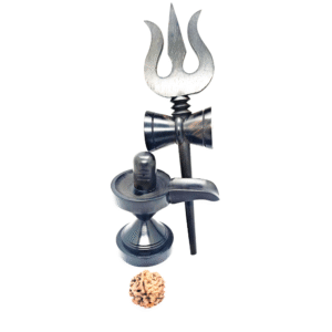 4 Mukhi Rudraksha beads with certificate (2)